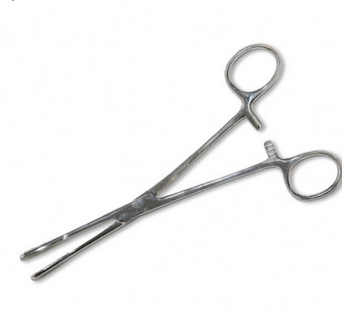 Sponge Forceps